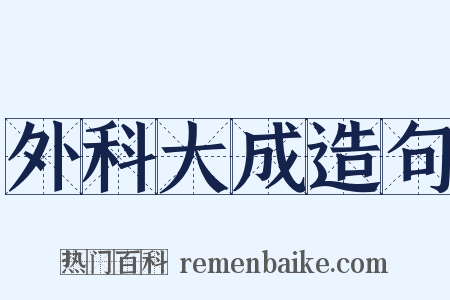 外科大成造句是什么意思的图片